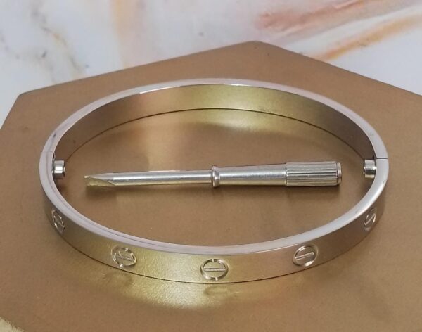 PULSERA PLATEADA (CON DESARMADOR)